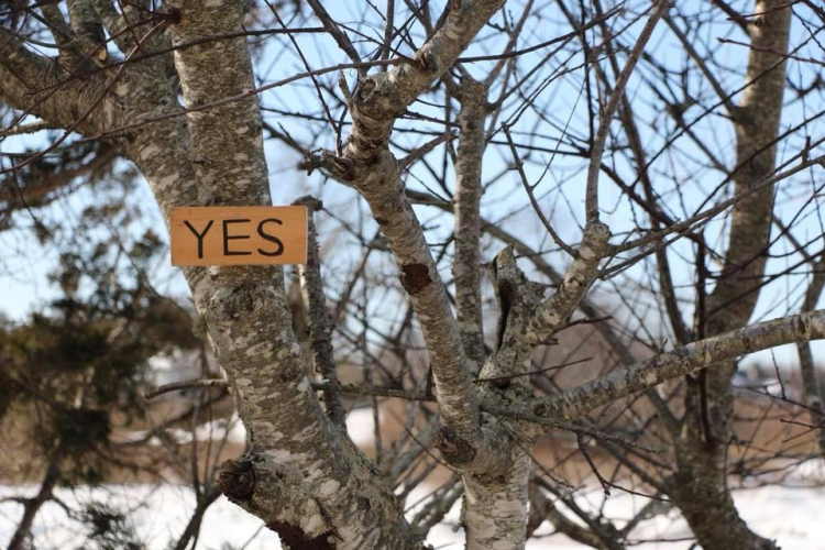 Yes