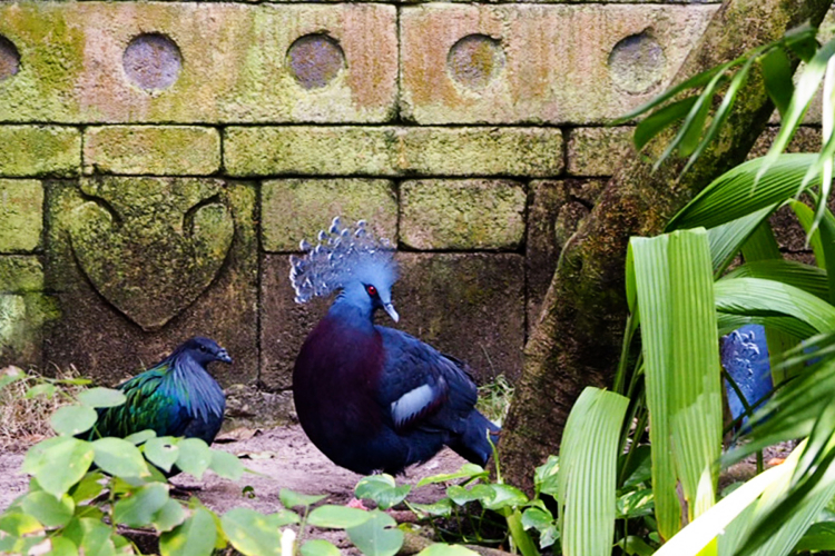 P1110254ed