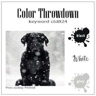 824 black  white  grey 010125