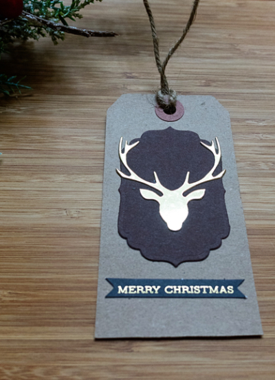 Day15DeerTagShiny