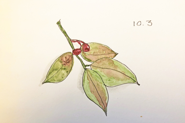 Inktober2