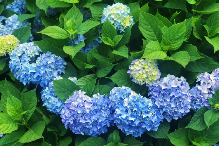 OutoftheBlue2