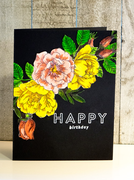 EllieBD