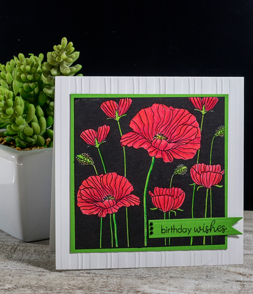 Poppies