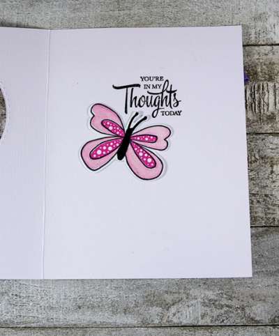 OpenButterflyInside