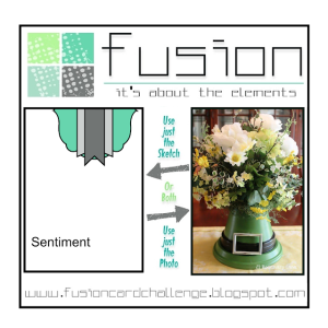 Fusion Mar 1 St Pattys Day-001