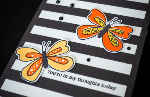 ButterflyClose