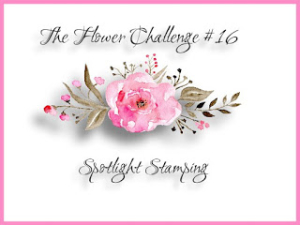 TFChallenge#16