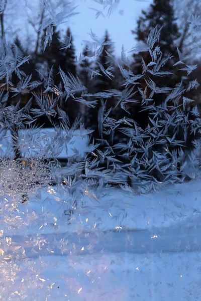 Window4